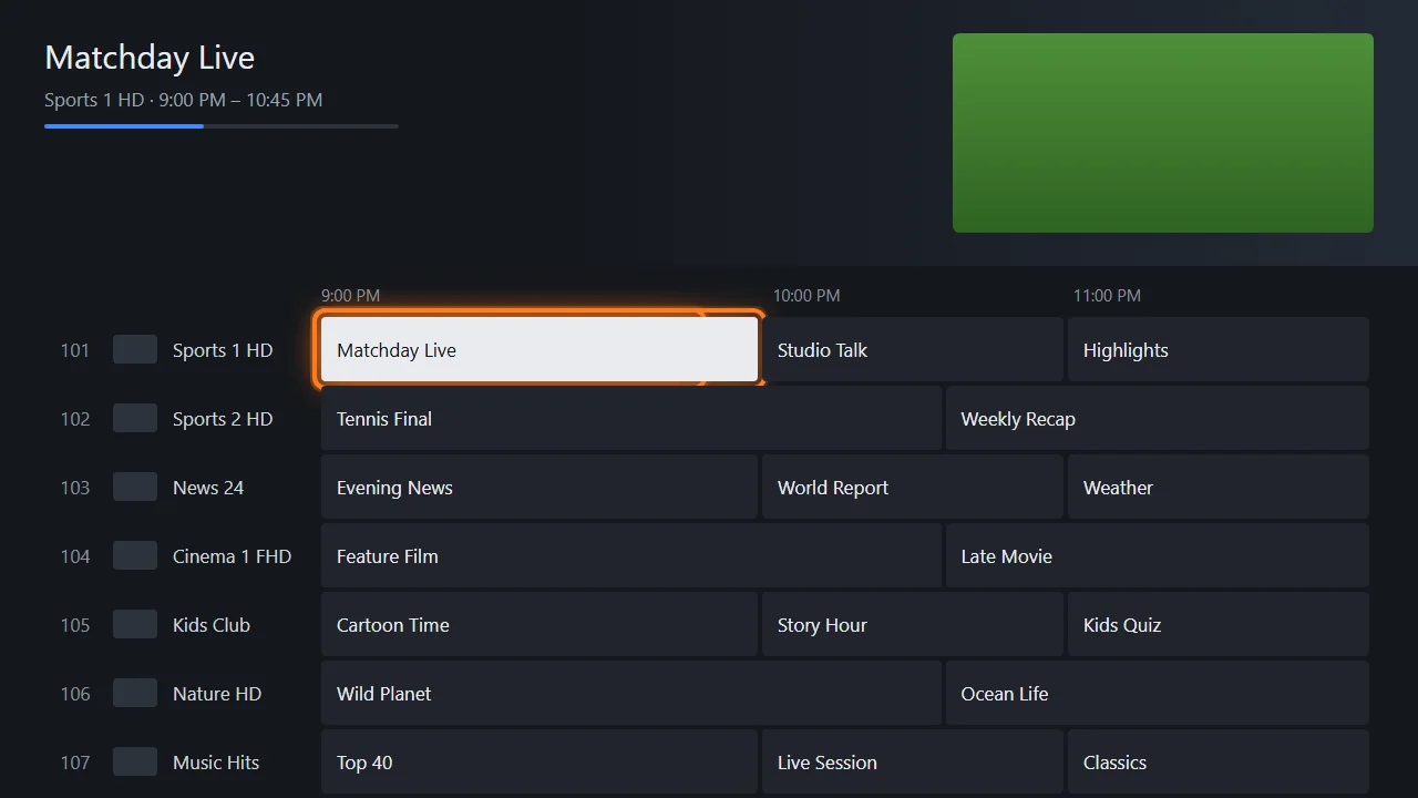 TiviMate setup on Fire TV Stick, step 8: Open the TV guide